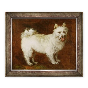Tablou inramat - Thomas Gainsborough - Spitz Dog, 50 x 60 cm