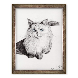 Tablou inramat - Vincent Alexander Booth - Monty, 2009, 70 x 90 cm