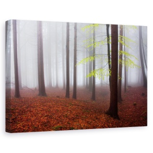 Tablou canvas - Abia trezit, Peisaj, Padure, Albastru , Ceata, 40 x 60 cm