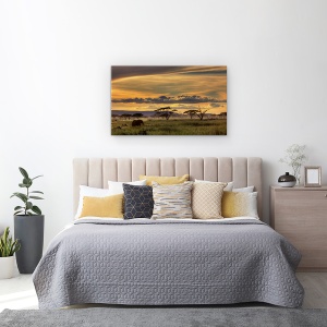 Tablou canvas - Africa, Tanzania, Elefant, Peisaj, Salbatic, 50 x 80 cm - Img 3