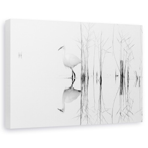 Tablou canvas - Alb, Abstract, Pasare, Punct, 60 x 90 cm