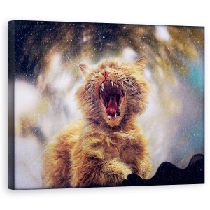 Tablou decorativ canvas pisica primăvară 60x75 cm