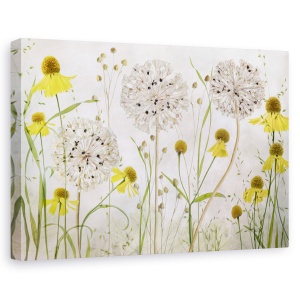 Tablou canvas - Allium si helenium, Natura moarta, Flori, Camp, Gradina, 60 x 90 cm