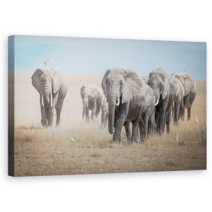 Tablou canvas - Amintind De Titani, Elefanti, Elefant, Familie, Turma, Pasari, 50 x 80 cm