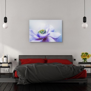 Tablou canvas - Anemone De Caen, Flori, Gradina, 60 x 90 cm - Img 3