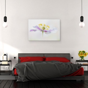 Tablou canvas - Anemone Din Lemn, Floare, Flora, Floral, Macro, Vara, 60 x 90 cm - Img 3