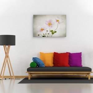 Tablou canvas - Anemone, Natura moarta, Textura, Petale, 60 x 90 cm - Img 2