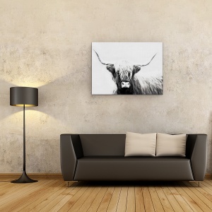 Tablou canvas - Animale, Bovine Highland Scotiene, Alb-Negru, 75 x 100 cm - Img 2