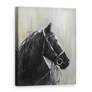 Tablou canvas - Animale, Cal, Negru, Pictura, 60 x 80 cm