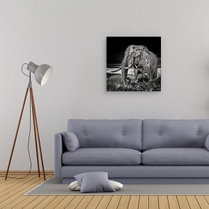 Tablou canvas - Apus La Waterhole, Animale, Salbatic, Elefant, Dinti Ascutiti, 90 x 90 cm - Img 2