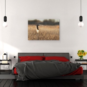Tablou canvas - Aripa Iluminata, Pasare, Bufnita, Apus De Soare, Zbor, Salbatic, 80 x 120 cm - Img 3