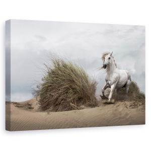 Tablou canvas - Armasar alb pe plaja, Animal, Cai, Actiune , Coasta, 60 x 90 cm