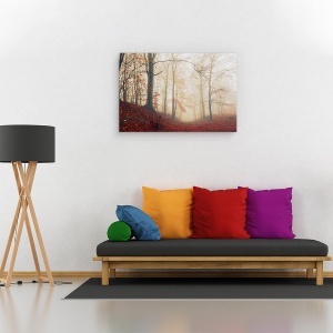 Tablou canvas - Asteptand Caprioara, Padure, Stare De Spirit, Ceata, Frunze, 40 x 60 cm - Img 2