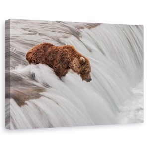 Tablou canvas - Asteptand si urmarind, Nature, Cascada, Urs, Rapid, 80 x 120 cm
