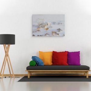 Tablou canvas - Aterizare, Bufnita, Zbor, Aterizare, Biban, Zapada, 40 x 60 cm - Img 2