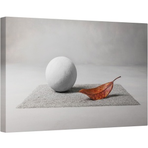 Tablou canvas - Aterizare Pe Luna, Gri, Frunza, Zen, Gradina Zen, Frunze, Toamna, 60 x 90 cm