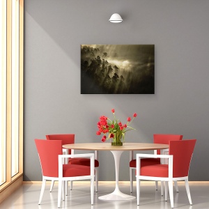 Tablou canvas - Atmosfera, Tonifiat, Monocolor, Padure, Raze De Lumina, 40 x 60 cm - Img 4
