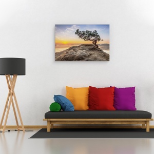 Tablou canvas - Batranul Pin, Germania, Rasarit De Soare, 60 x 90 cm - Img 2