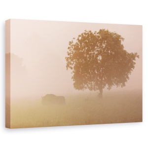 Tablou canvas - Bizon European, Ceata, Ancestrala, Salbatic, 40 x 60 cm