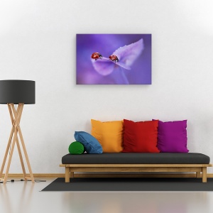 Tablou canvas - Buburuze pe hortensie, Flori, Violet, Dragoste, Romantic, 80 x 120 cm - Img 2