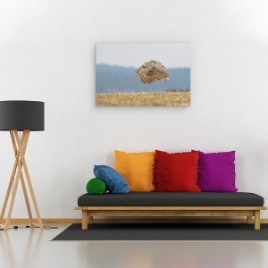 Tablou canvas - Bufnita De Virginia, Look, Ochi, Zbor, Zbor, Zburand, 60 x 90 cm - Img 2
