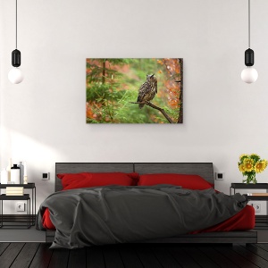 Tablou canvas - Bufnita Euroasiatica, Padure, Salbatic, Natura, 40 x 60 cm - Img 3