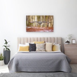 Tablou canvas - Bufnita Gri, Pasare, Zbor, 50 x 80 cm - Img 3