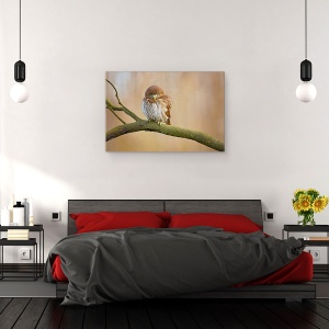 Tablou canvas - Bufnita Pitica, Dragut, Pasare, Salbatic, 40 x 60 cm - Img 3