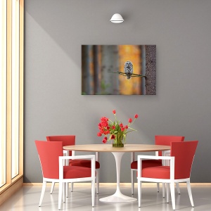 Tablou canvas - Bufnita Tawny, Copac, Ramura, Padure, Padure, 40 x 60 cm - Img 4