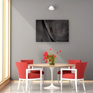Tablou canvas - Ca Un Hot In Noapte, Studio, Teatru, Caine, Portret, Caini, 40 x 60 cm - Img 4