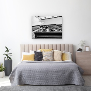 Tablou canvas - Caine, Strada, Caine, Fata, Perspectiva, Caini, 50 x 70 cm - Img 3