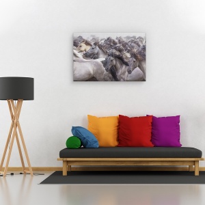 Tablou canvas - Cal salbatic, Nature, 60 x 90 cm - Img 2