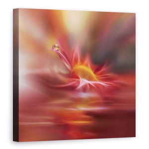 Tablou canvas - Cantecul Sufletului Meu, Perla, Cadere, Bijuterie, Picatura, Apa, Floare, 60 x 60 cm
