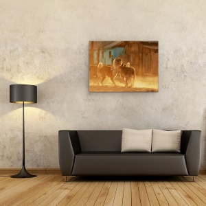 Tablou canvas - Chemarea Salbaticiei, Caini, Lupta, Animal, Pet, Curte, 60 x 80 cm - Img 2
