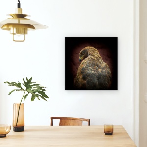 Tablou Canvas - Cineva Sa Se Uite La Mine, Ochi, Pasare, Savana Hawk, 60 x 60 cm - Img 4