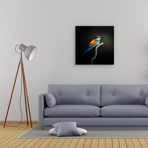 Tablou canvas - Colorat Intunecat, Animal, Pasare, Pene, Curcubeu, 60 x 60 cm - Img 2