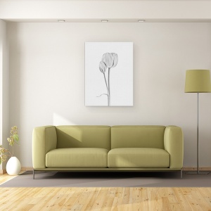 Tablou canvas - Conectat, Natura Moarta, Alb-Negru, Simplitate, Luminos, 75 x 100 cm - Img 2