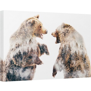 Tablou canvas - Conflicte Salbatice, Ursi, 40 x 60 cm