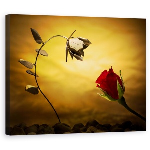 Tablou canvas - Contrariile Se Atrag, Trandafir, Opusi, Metal, Opozitie, Rosu, 60 x 75 cm