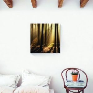 Tablou decorativ canvas pădure cu copaci și soare