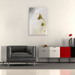 Tablou canvas - Cosmos, Natura Moarta, Floare, 60 x 90 cm - Img 2