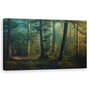 Tablou canvas - Culori De Octombrie, Panorama, Copaci, Padure, 50 x 100 cm
