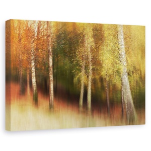Tablou canvas - Culori De Toamna, Copaci, 80 x 120 cm