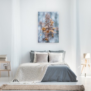 Tablou canvas - Dantela De Iarna, Hortensie, Paniculata, Floare, Seminte, Cap, 60 x 90 cm - Img 3