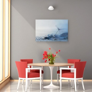 Tablou canvas - Dimineata Albastra, Seminte, Apa, Pana, Picaturi, 40 x 60 cm - Img 4