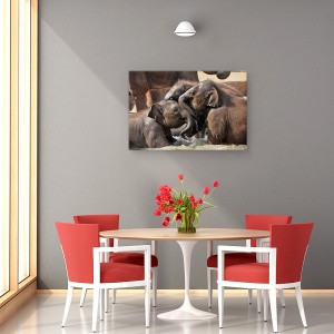 Tablou canvas - Distractie Pe Apa, Elefanti, Joaca, Prietenie, Fericit, 80 x 120 cm - Img 4