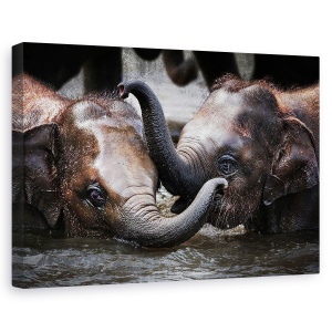 Tablou canvas - Doar Noi Doi, Elefant, Dragut, Joaca, 80 x 120 cm