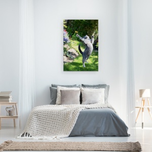 Tablou canvas - Domnisoara, Pisica, Animal, Danemarca, Fluture, Prinde, 60 x 90 cm - Img 3