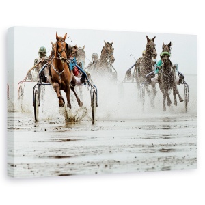 Tablou canvas - Duuuhnnn, Cai, Actiune, Concurs, Apa, Trot, 60 x 90 cm