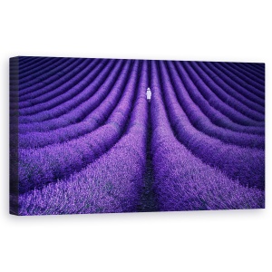 Tablou Canvas - Ea, Violet, Lavanda, Perspectiva, Femeie, Peisaj, 50 x 100 cm
